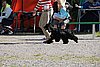 IMG_3897.JPG