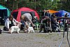 IMG_3914.JPG