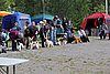IMG_3915.JPG