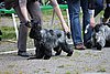 IMG_3917.JPG