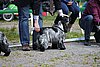 IMG_3919.JPG