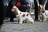 IMG_3921.JPG