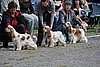IMG_3922.JPG