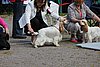 IMG_3923.JPG