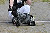 IMG_3924.JPG