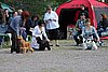 IMG_3925.JPG