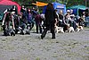 IMG_3927.JPG