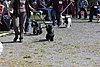 IMG_3929.JPG