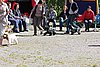 IMG_3931.JPG