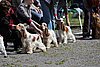 IMG_3934.JPG
