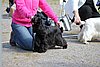 IMG_3935.JPG