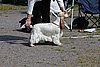 IMG_3936.JPG