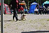IMG_3940.JPG
