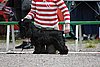 IMG_3949.JPG