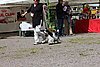 IMG_3950.JPG