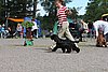 IMG_3953.JPG