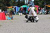 IMG_3963.JPG