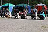 IMG_3970.JPG