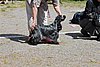 IMG_3993.JPG