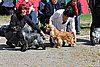 IMG_3994.JPG