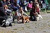 IMG_3995.JPG