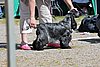 IMG_3996.JPG