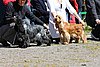 IMG_3997.JPG