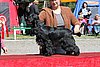 IMG_4006.JPG