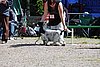 IMG_4008.JPG