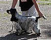IMG_4015.JPG