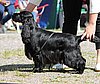 IMG_4016.JPG