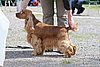 IMG_4021.JPG