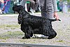 IMG_4023.JPG