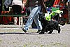IMG_4026.JPG