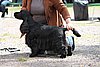 IMG_4030.JPG
