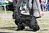IMG_4031.JPG