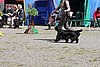 IMG_4036.JPG