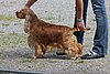 IMG_4038.JPG