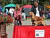 IMG_4044.JPG
