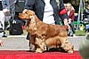 IMG_4046.JPG