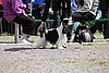 IMG_4049.JPG