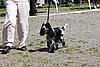IMG_4055.JPG
