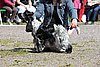 IMG_4059.JPG