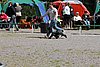 IMG_4063.JPG