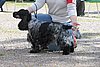 IMG_4065.JPG