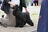 IMG_4068.JPG