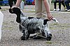 IMG_4071.JPG