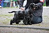 IMG_4072.JPG
