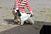 IMG_4081.JPG