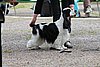 IMG_4083.JPG
